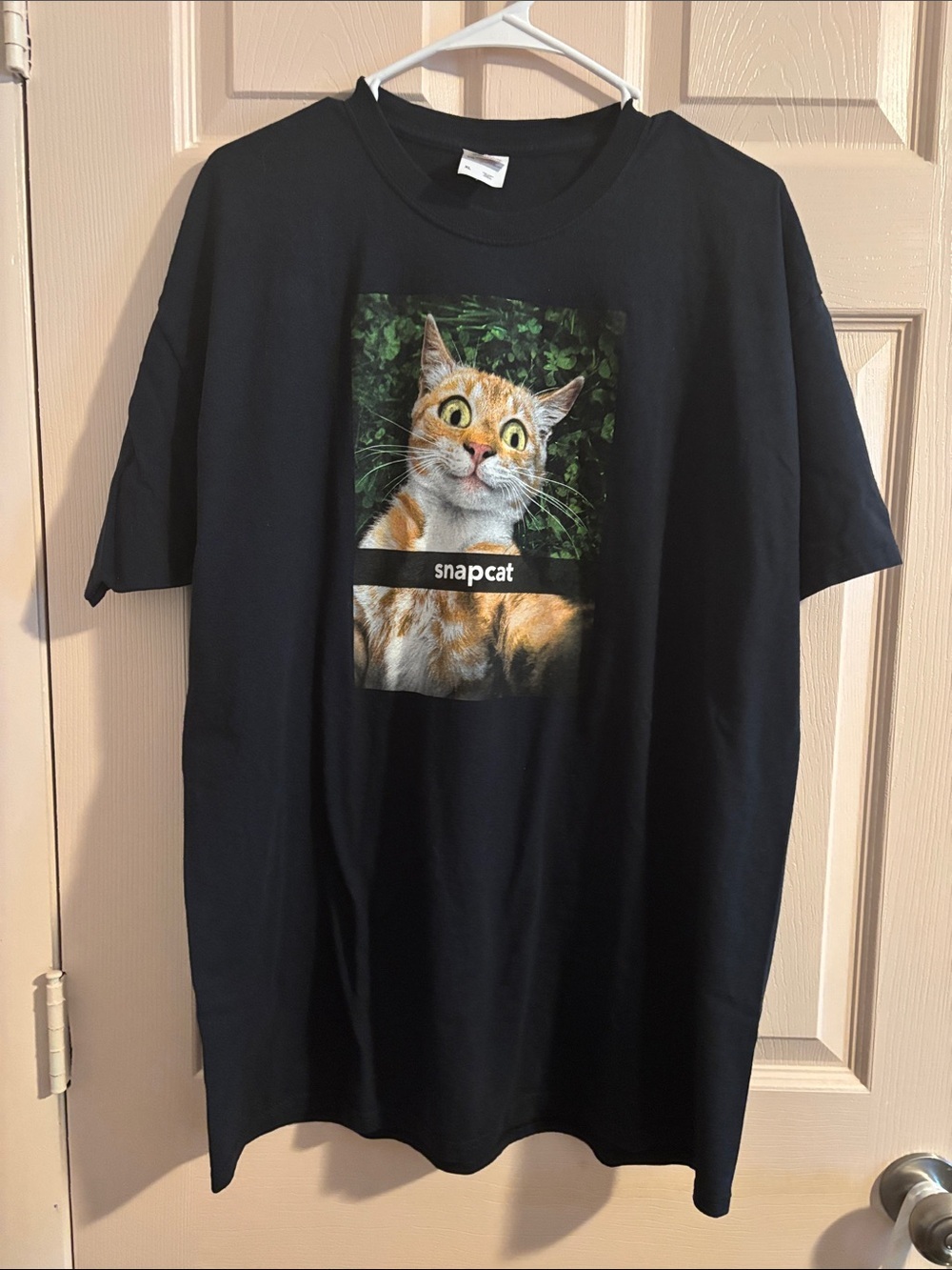 Fruit of the Loom Black Tee with Wide-Eyed Orange Tabby Graphic